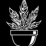 Square_drjwhitelogo-leafinpot