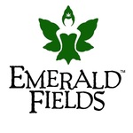Square_eflogo_notag_small