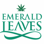 Square_emerald_leaves_logo2