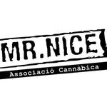 Square_mr_nice