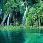 Square_greenforestbcn