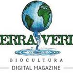 Square_tierra