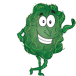 Square_large_buddy-greenz