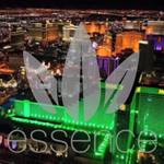 Square_for_weedmaps