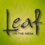 Square_lotm-profile-image