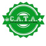 Square_cata