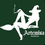Square_artemisa_manresa_logo