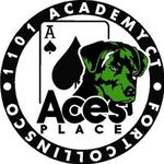 Square_ace_splacelogo