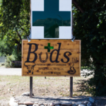 Square_weedmaps_avatar