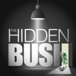 Square_the_hidden_bush