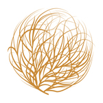 Square_twc-tumbleweed-color-logo-mark