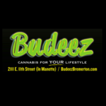 Square_budeez_logo_no_addy