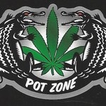Square_potzonelogo