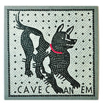 Square_mgcavecanem