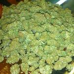 Square_foto_de_cogollos_de_marihuana_para_perfil_de_csc_el_garaje_madrid