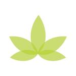 Square_lotus