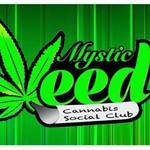 Square_mystic_weed