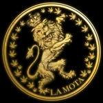 Square_lamota_lion_gold_loader