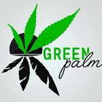 Square_green_palm_torrevieja_logo