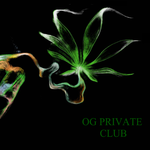 Square_og_private_club
