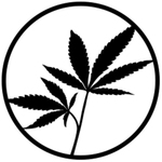 Square_tumblr_static_cannanovo_tumblr_avatar_budleafs_01
