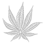 Square_logo_hemp_museum