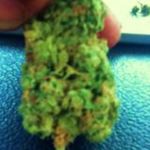 Bosslife116 Bosslife116