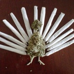 420informer 420informer