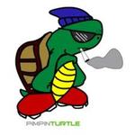 Turtle87 Turtle87